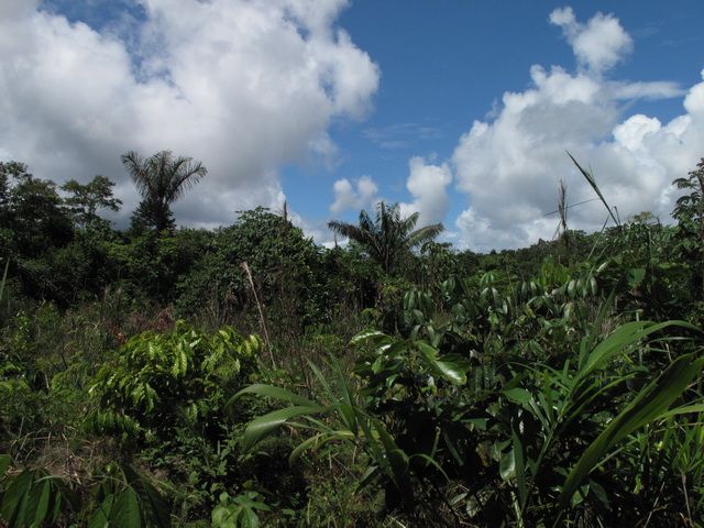 IMG_7964.jpg