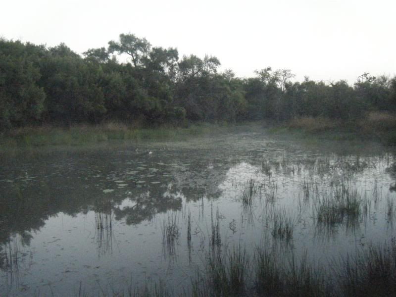 DSCF2404Medium.jpg