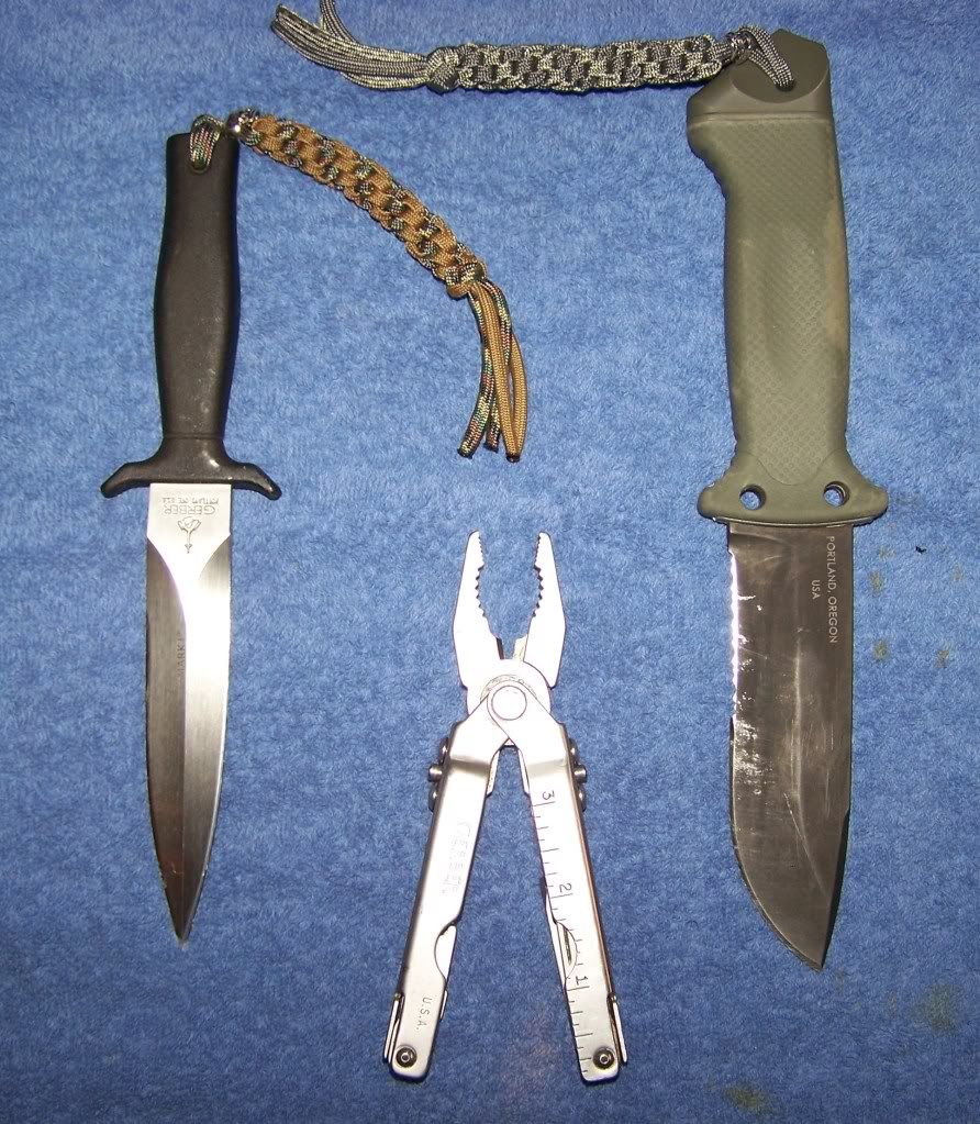 gerbercollection2.jpg