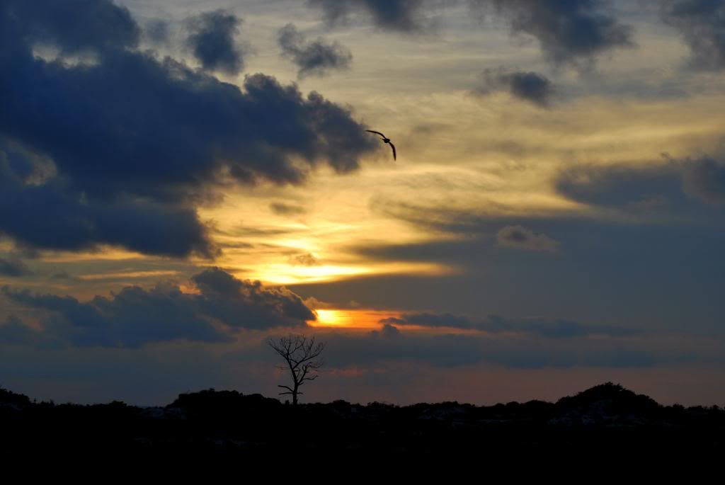 DSC_0198.jpg