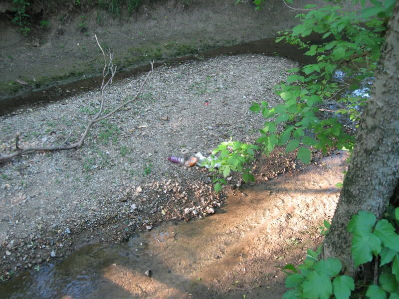 IMG_1763.jpg