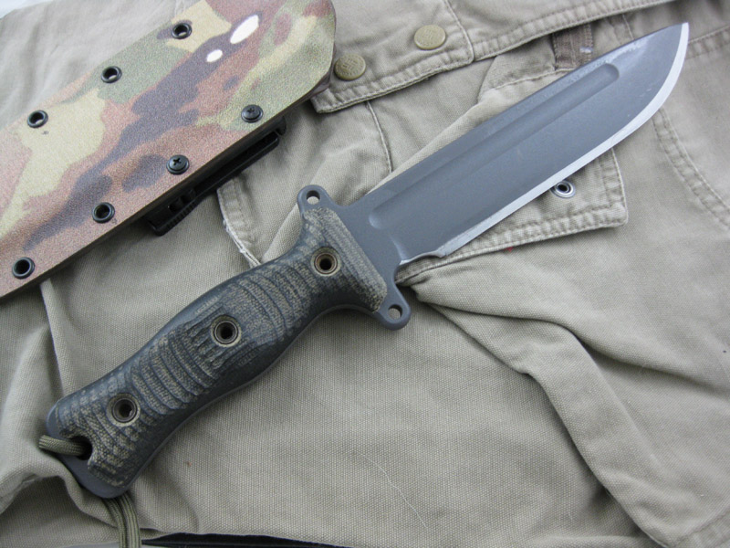 BusseTG01.jpg