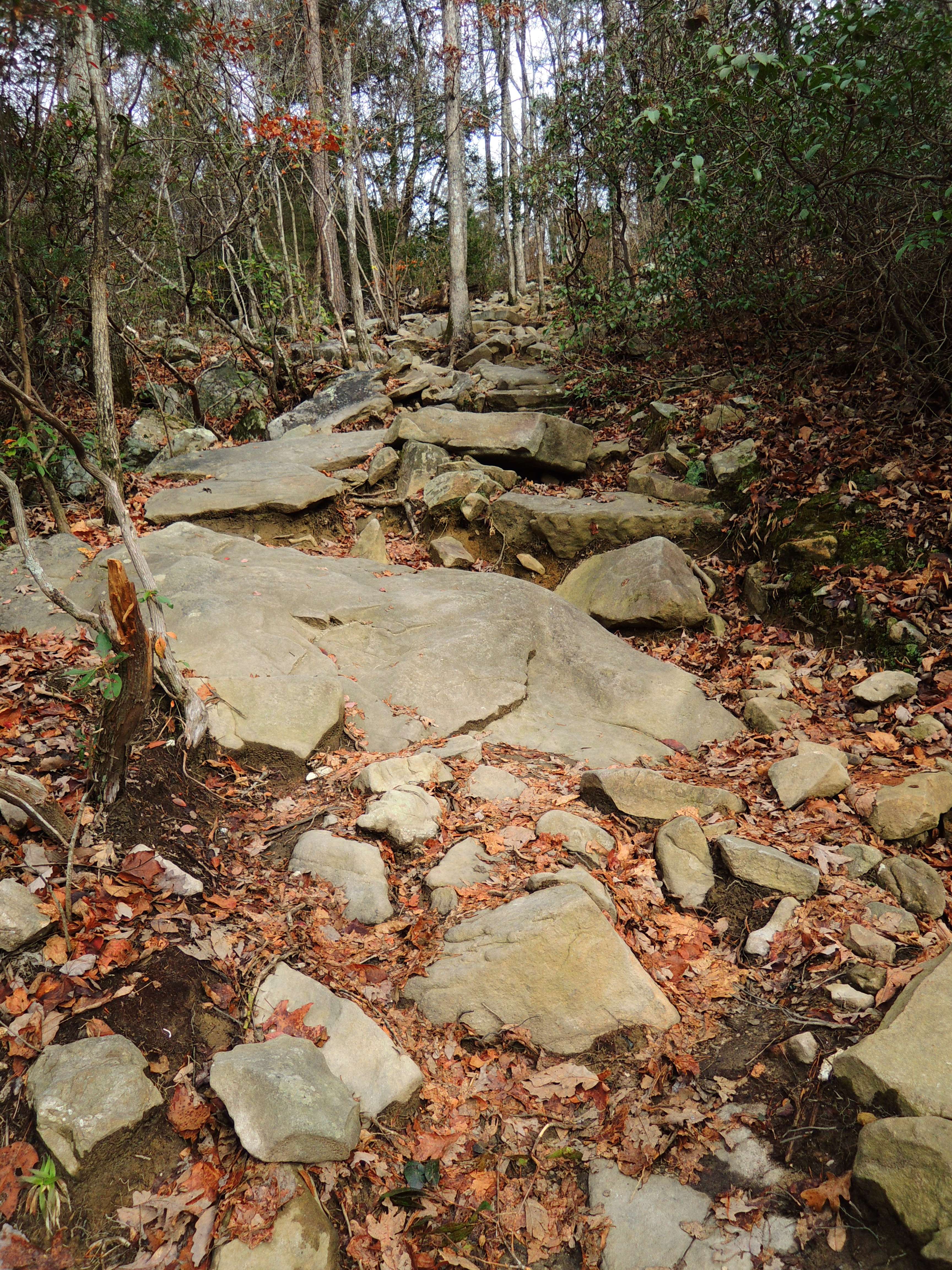 dscn3677i.jpg