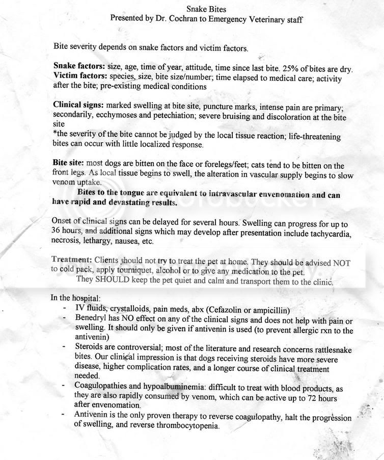 snakebitedog.jpg