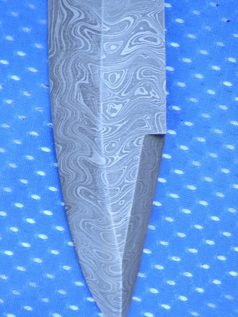 DSC00624.jpg