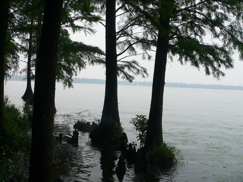 P1400535.jpg
