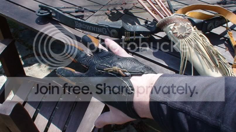 BowGlove2.jpg