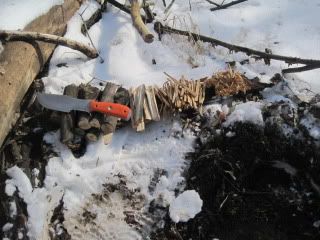IMG_1188.jpg