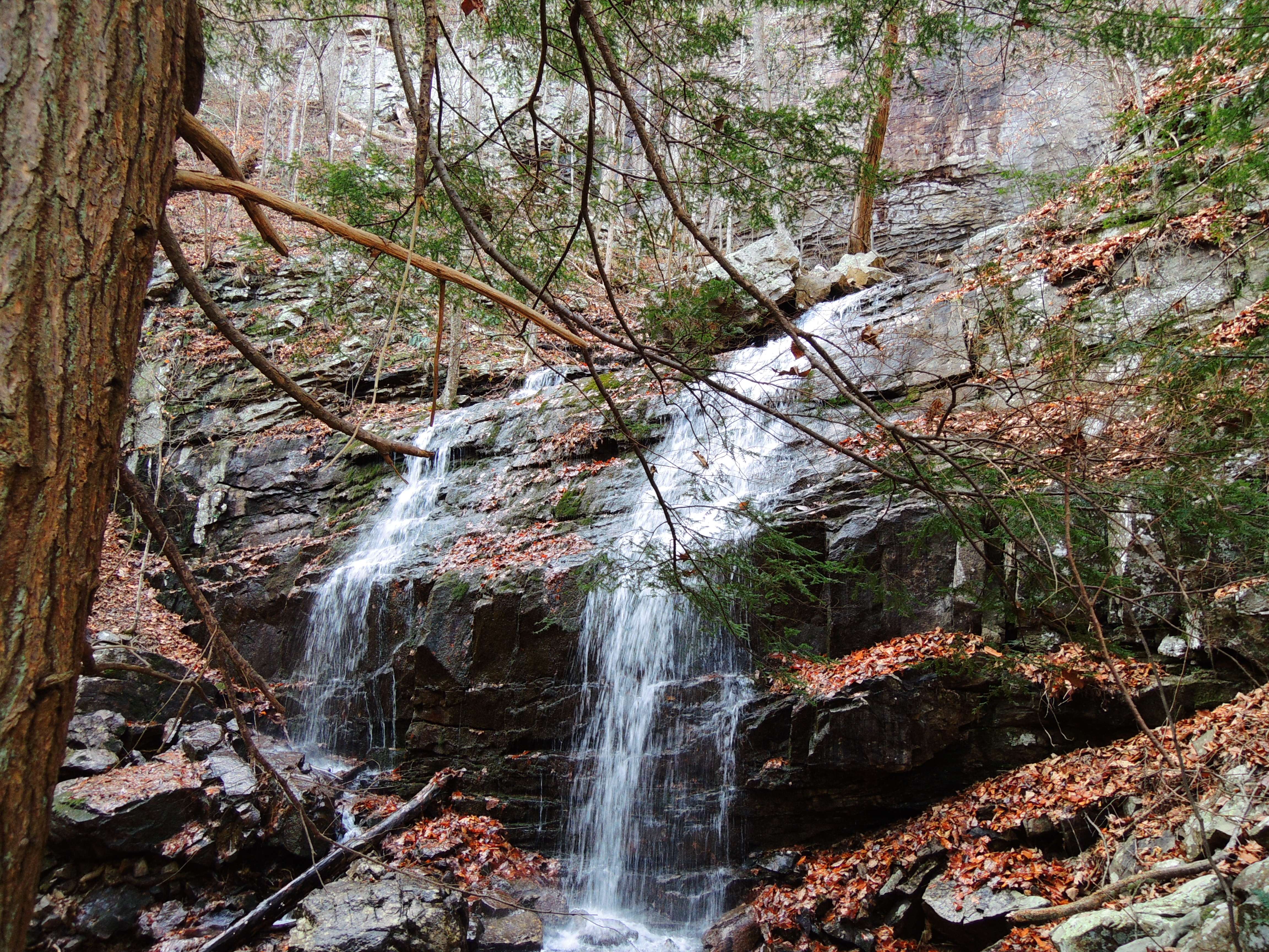 dscn4176y.jpg