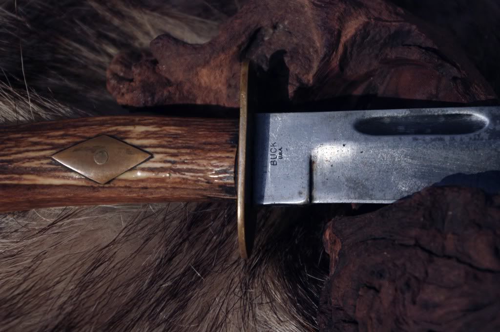 Buck119TwolinerStagAusschn.jpg