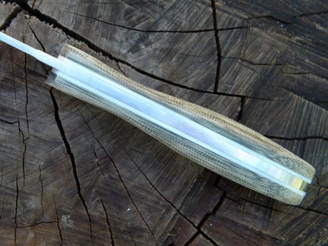 DSCN1261.jpg