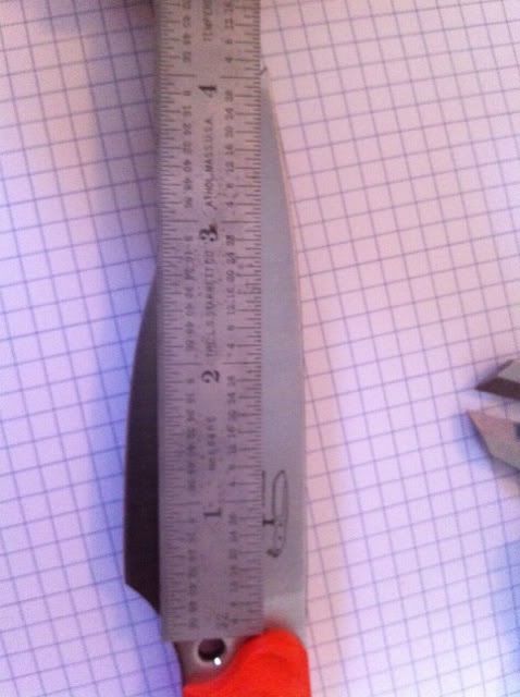 image-18.jpg