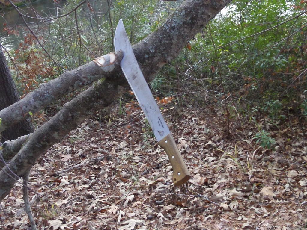 campin011.jpg