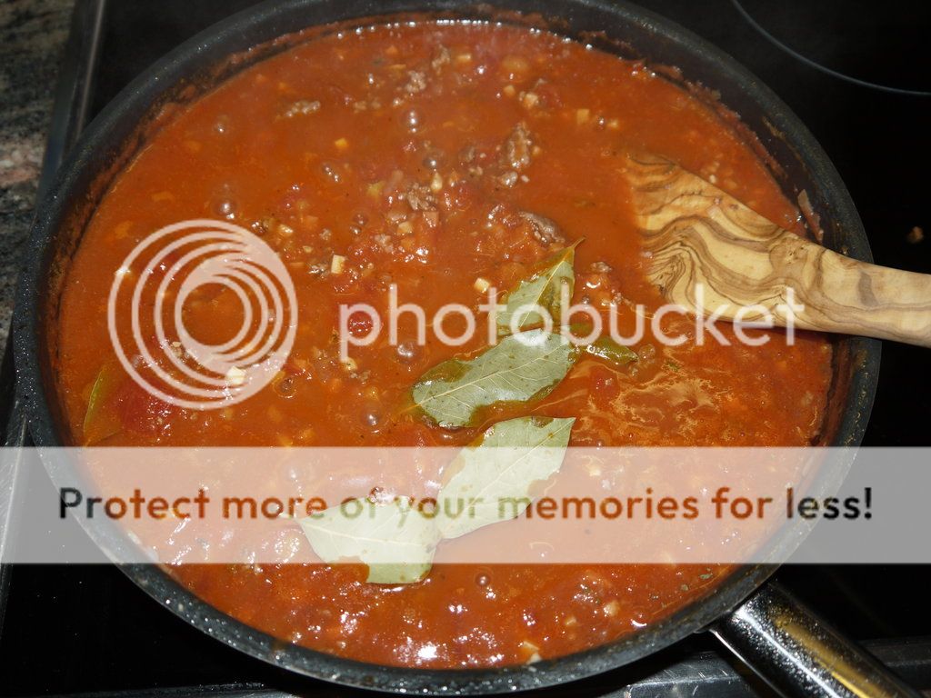 Bolognese_03_small_zps571d7232.jpg