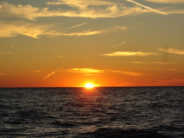 DSC09993_zpsffde399f.jpg