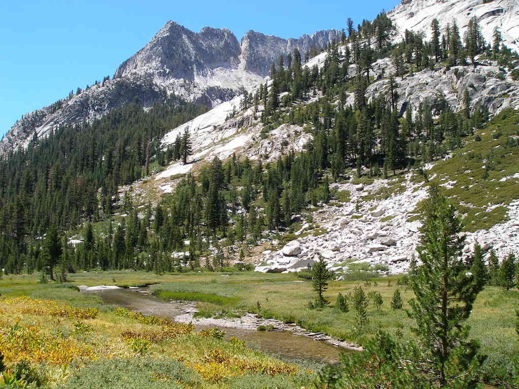 KingsCanyon2008703.jpg
