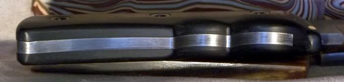 morris7.jpg