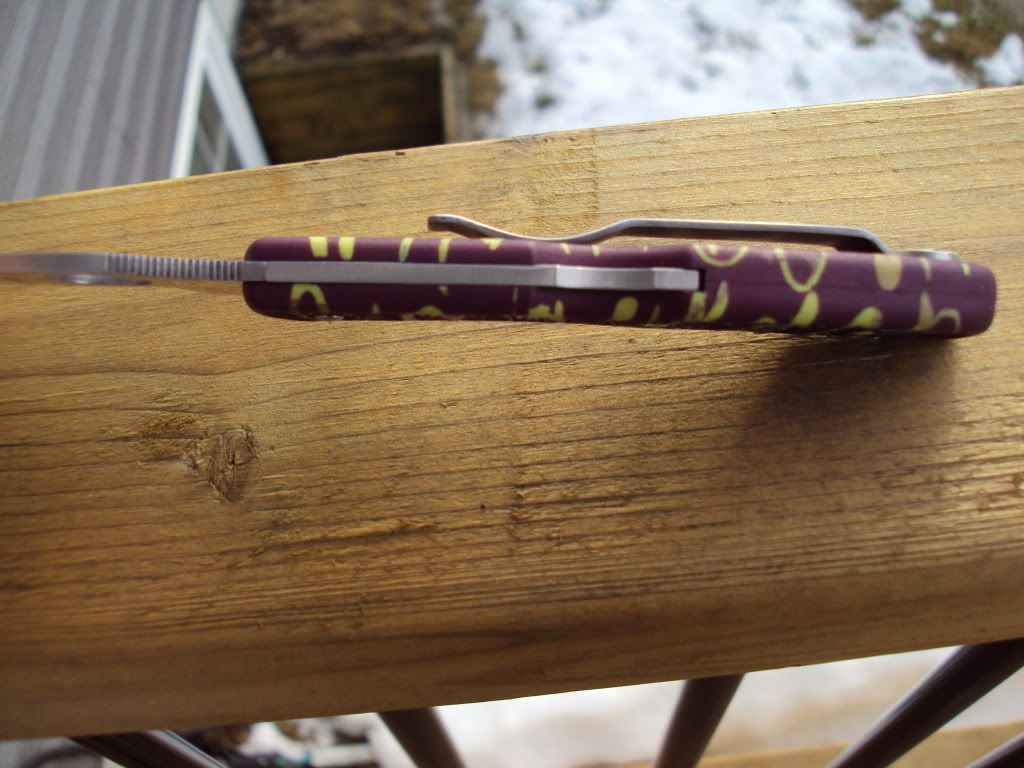 Picture002.jpg