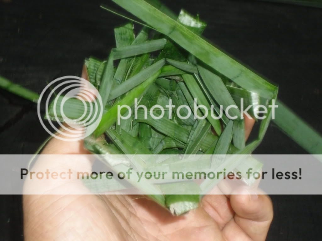 PICT0005-54.jpg