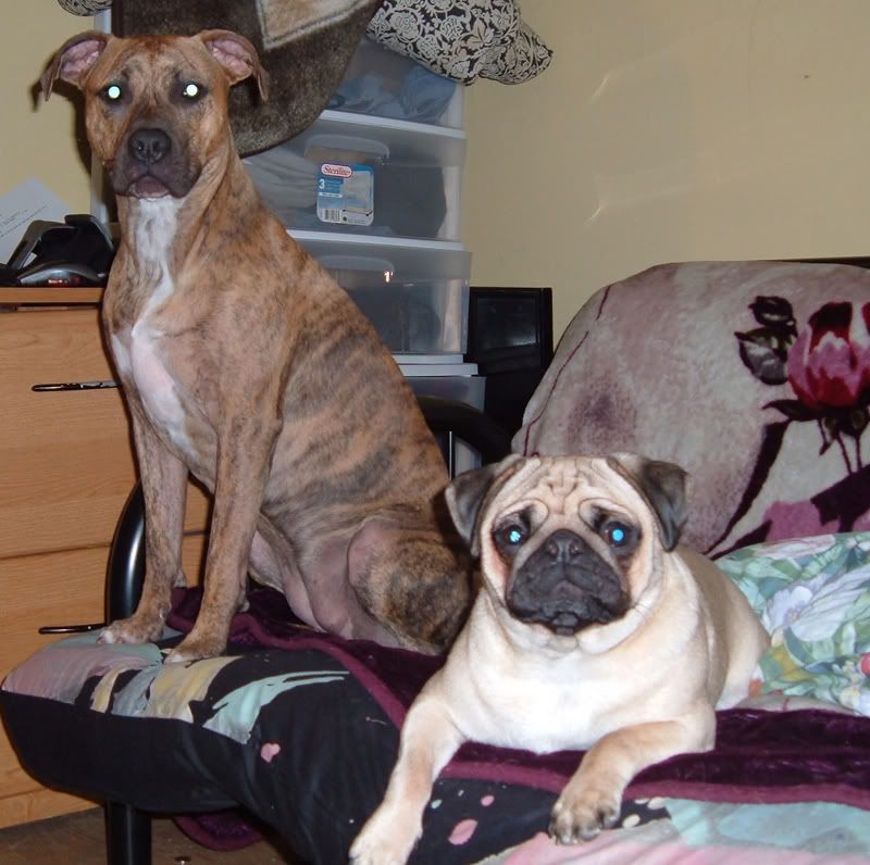 maxandlucy.jpg