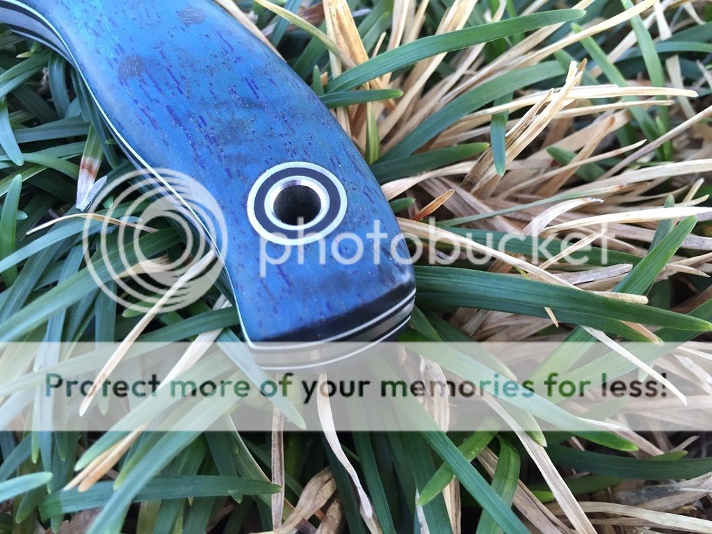 IMG_1372_zpseecv4qoe.jpg