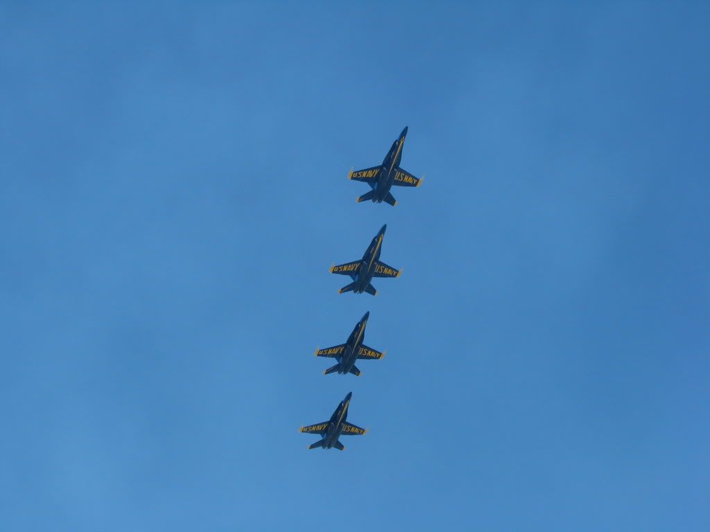 IMG_3557.jpg
