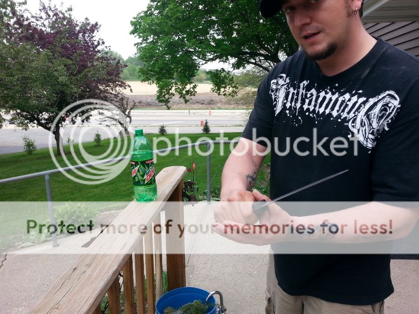 20130518_171610_2_zps78f29dcb.jpg
