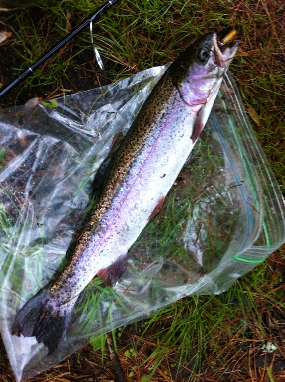 CA05141221025545-XL.jpg