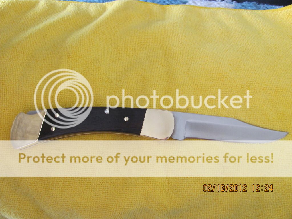 1102dotuserafterspa009.jpg