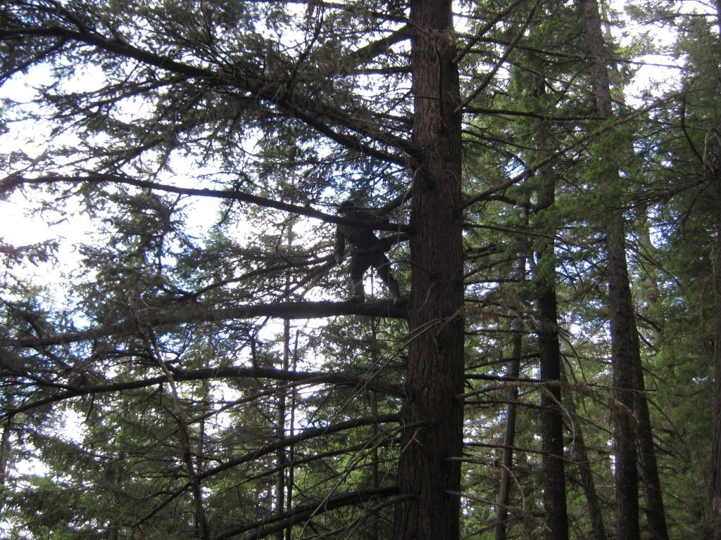 July032010072.jpg