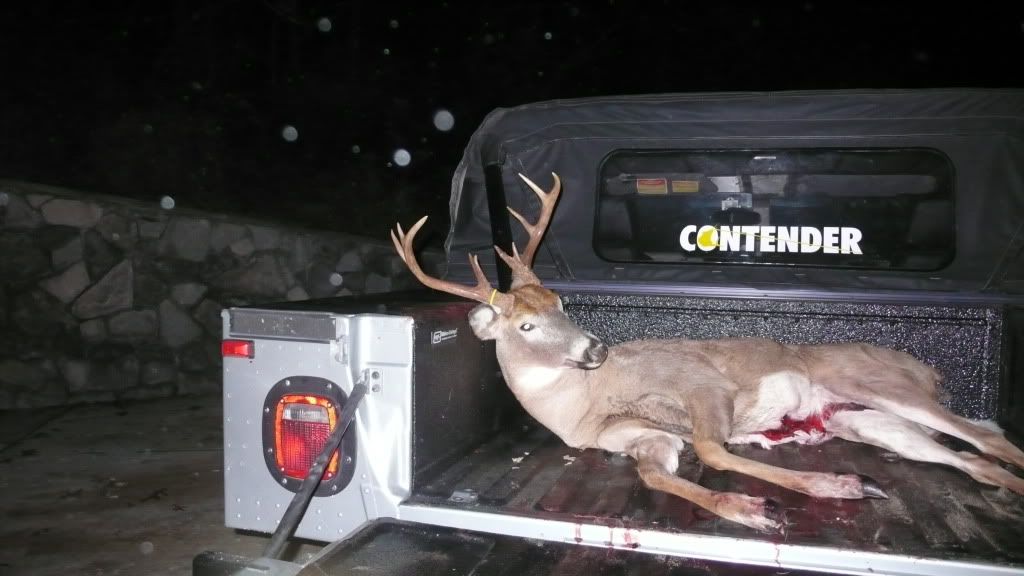 DEER09006.jpg