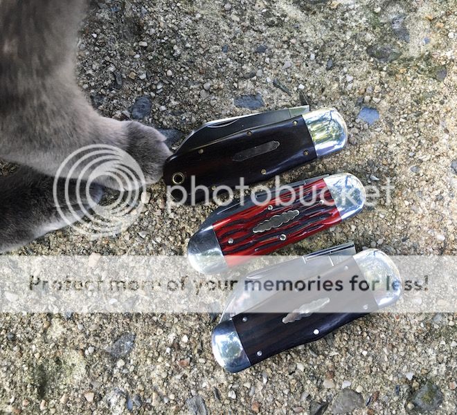 FullSizeRender_1.jpg~original