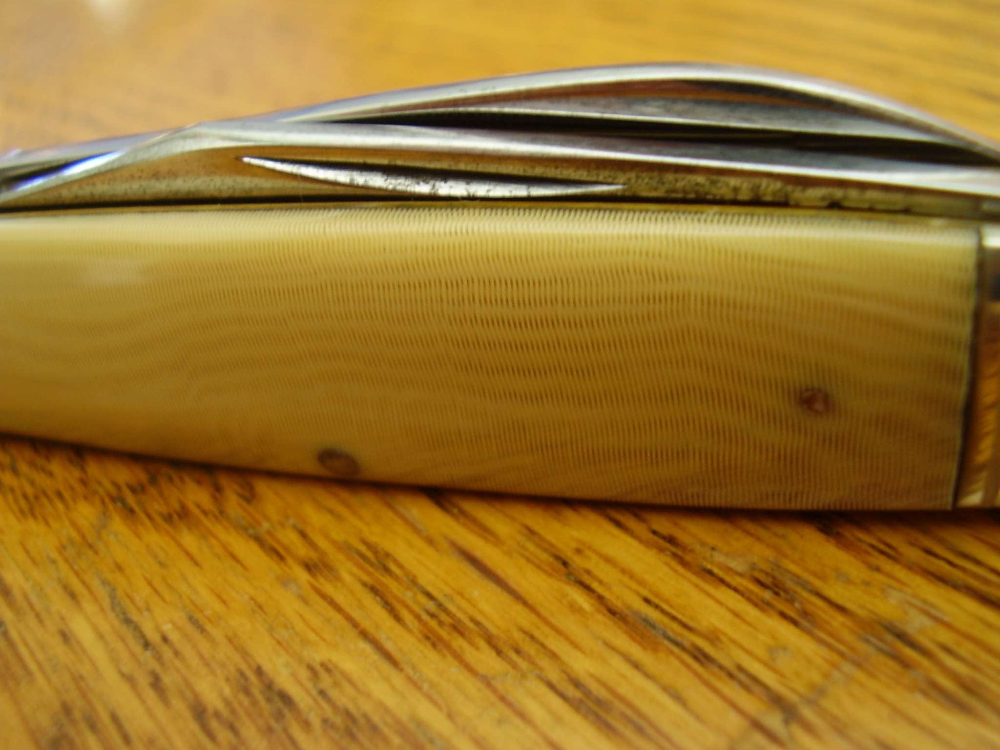 p2190027.jpg