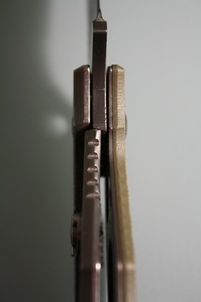 f57bf089.jpg