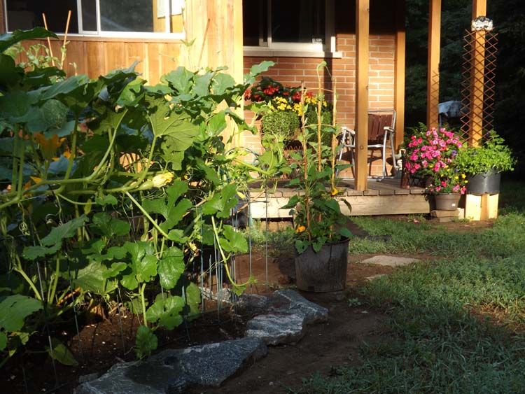 DSCF1760GARDENTOKITCHENPORCH750MD_zps16b2a660.jpg