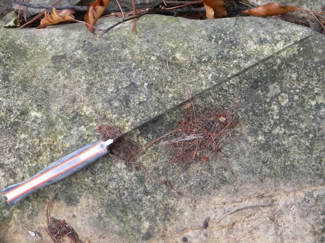 DSCN1323.jpg