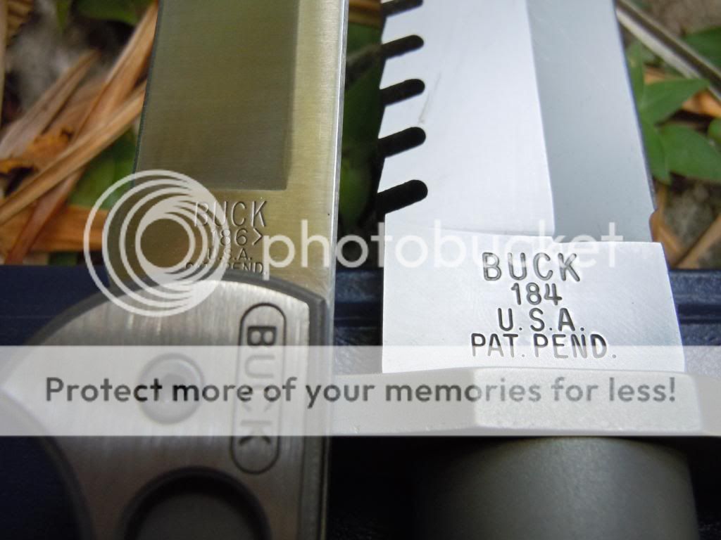 DSCN2564_zps8d81f8b8.jpg