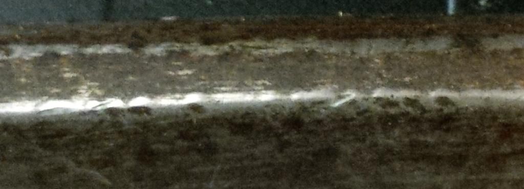 IMG_00000430_zpsbc16abac.jpg