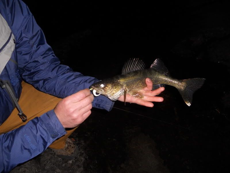 IMG0007.jpg