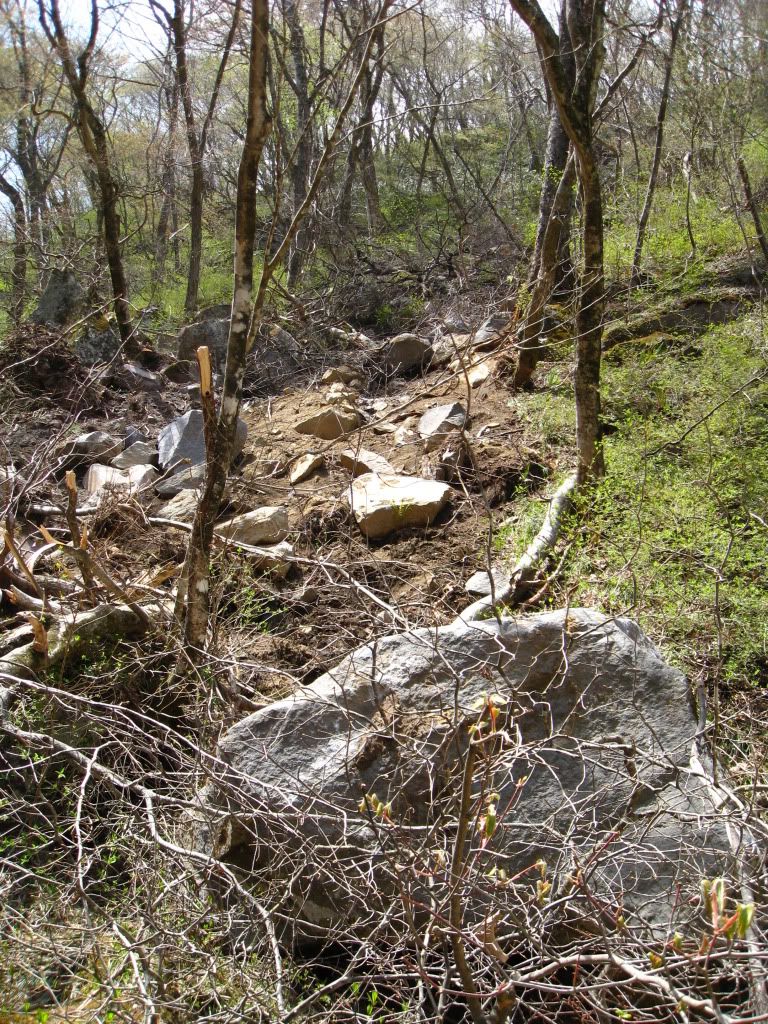 TogataHikeApr2011023.jpg