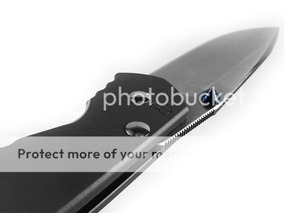 IMG00392-20110202-2040-2.jpg