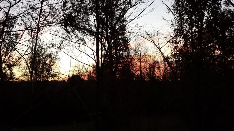 20131201_063823_zpse8320327.jpg
