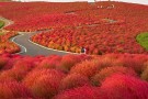 top-10-unbelievable-places-7-135x90.jpg