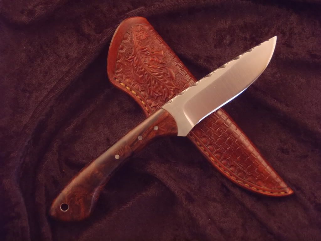 BandedKrait12.jpg
