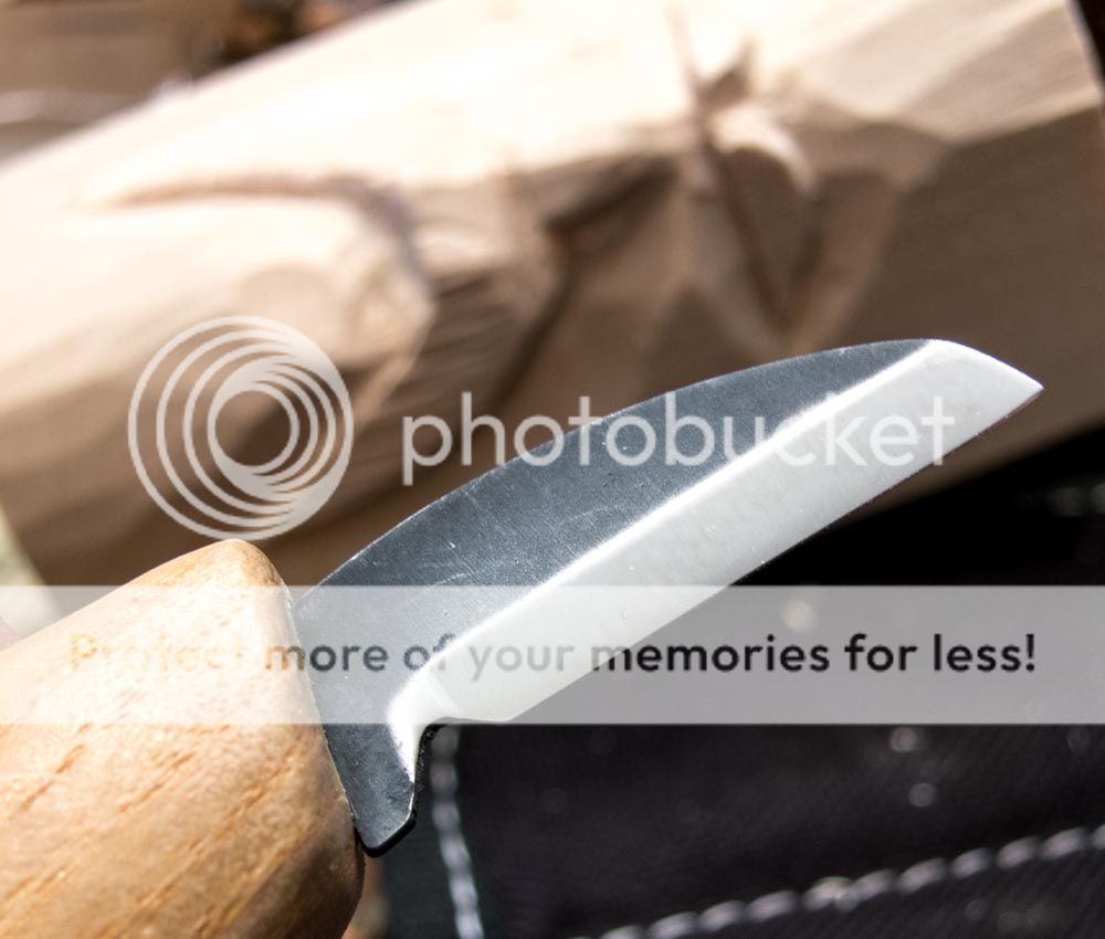 IMG_1203.jpg~original