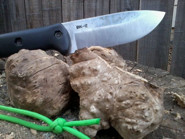 Photo0307.jpg