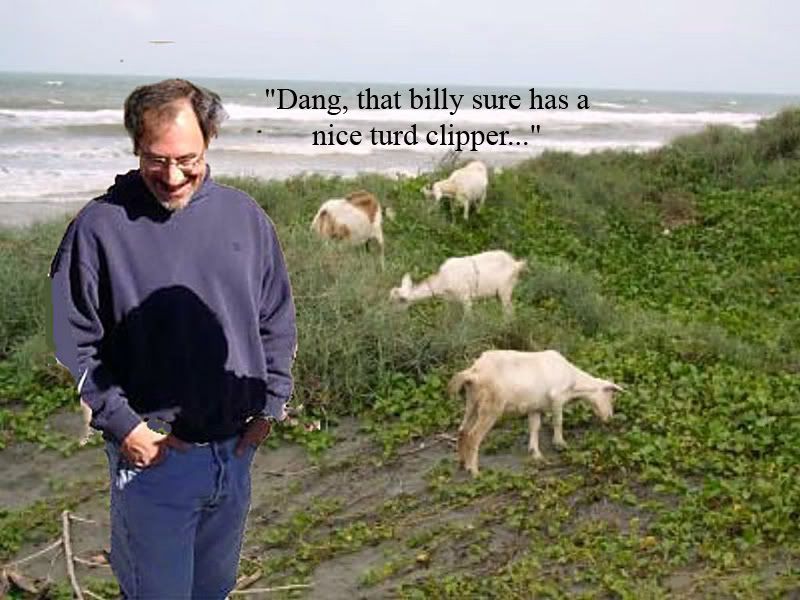 beachgoatsandGus3.jpg