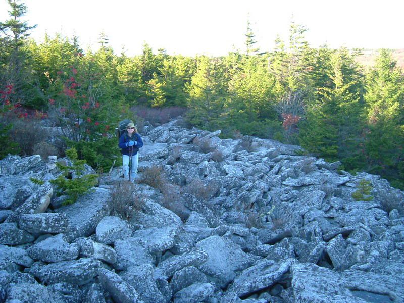 2006_1010Image0016.jpg