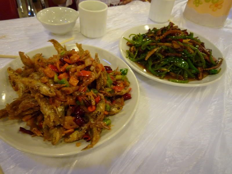 P1010439.jpg