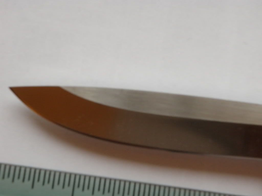 P9200002.jpg